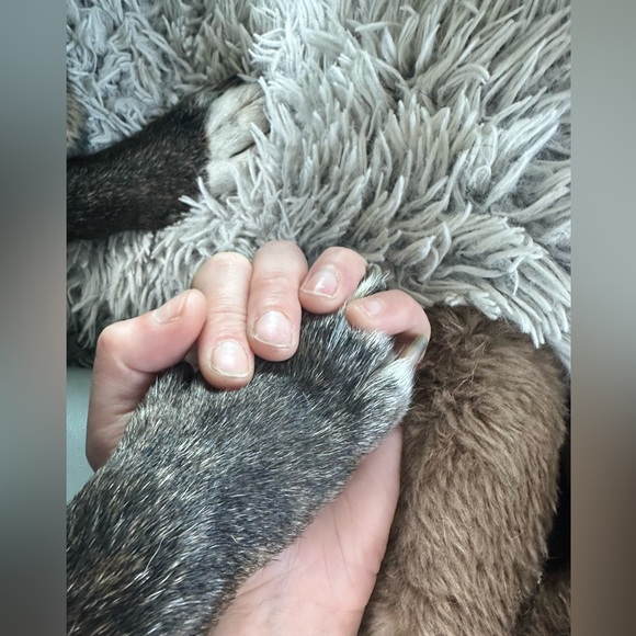 End of duty 6/12/24 - Picture 12 of 15